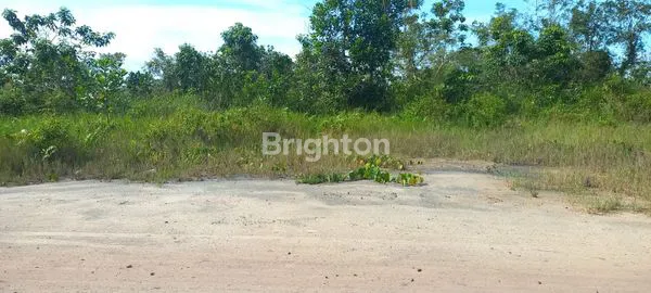 image TANAH DI JUAL JLN ANGGANA  (3)