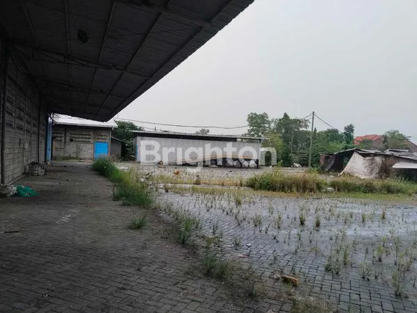 image GUDANG PANDAAN PASURUAN (7)