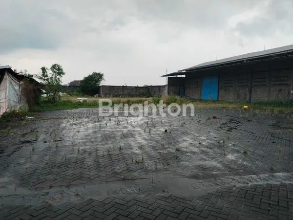 image GUDANG PANDAAN PASURUAN (5)