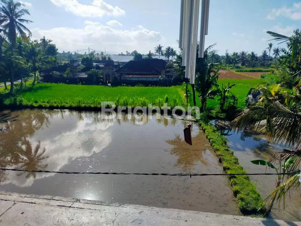 image VILLA PERING - GIANYAR (4)