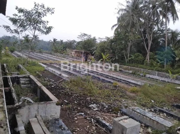 image JUAL RUGI X PABRIK TAPIOKA (1)