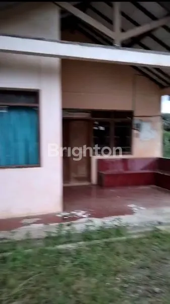 image JUAL RUGI X PABRIK TAPIOKA (4)