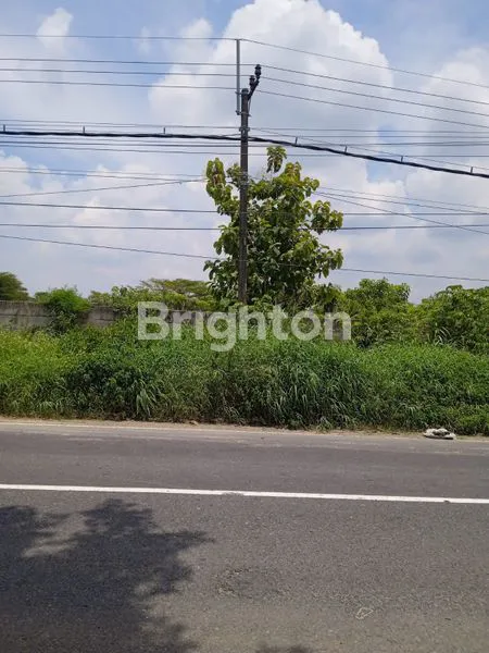 image JUAL TANAH INDUSTRI STRATEGIS KEMBANGBAHU LAMONGAN (2)