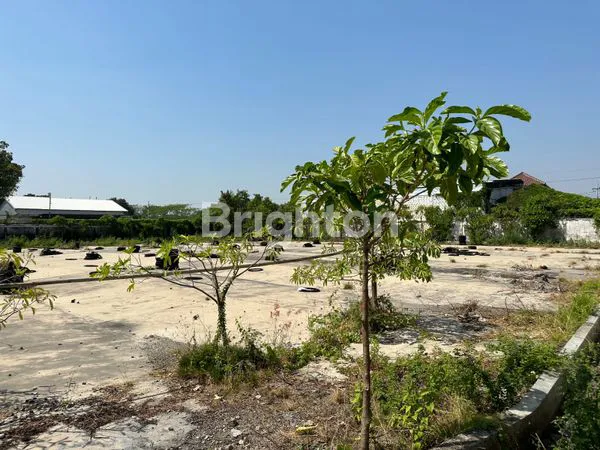 image TANAH BANGUNAN PABRIK LAMONGAN MURAH JALAN BESAR (3)
