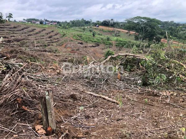 image DIJUAL TANAH MURAH DI JALAN IKIP MEKAR  TENGGARONG KUTAI KARTANEGERA (1)