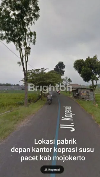 image JUAL EX.PABRIK TEH COKRO MOJOSARI (5)