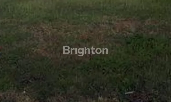 Gambar Property TANAH GRESIK, NOL JALAN RAYA MENGANTI, HRG 1M, AMAN TIDAK KENA RILEN