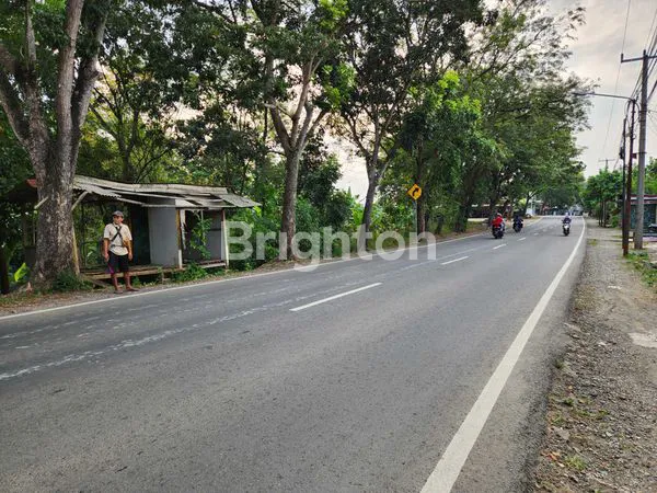 image TANAH DARAT PASIRTANJUNG CARIU, KABUPATEN BOGOR (4)