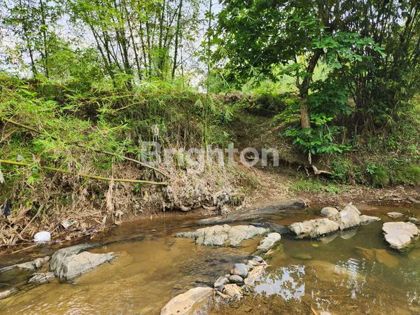 image TANAH DARAT PASIRTANJUNG CARIU, KABUPATEN BOGOR (2)