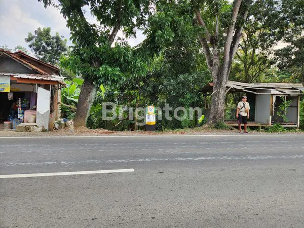 image TANAH DARAT PASIRTANJUNG CARIU, KABUPATEN BOGOR (6)