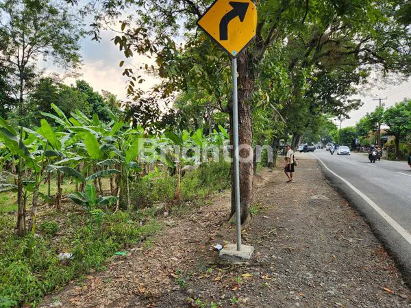 image TANAH DARAT PASIRTANJUNG CARIU, KABUPATEN BOGOR (5)