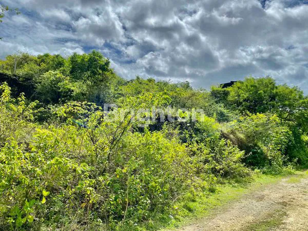 image TANAH PREMIUM 2 ARE DI JIMBARAN (3)