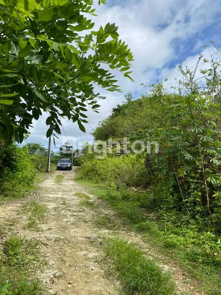 image TANAH PREMIUM 2 ARE DI JIMBARAN (7)