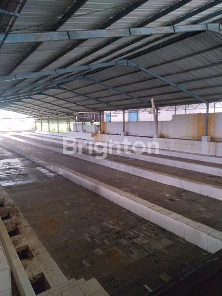 TANAH EX PABRIK DEKAT PINGGIR JALAN PURWONEGORO JAWA TENGAH