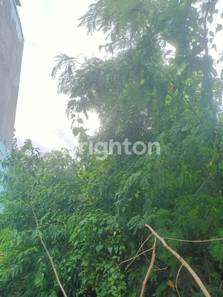 image TANAH LUAS DAN STRATEGIS AREA KUTA (4)