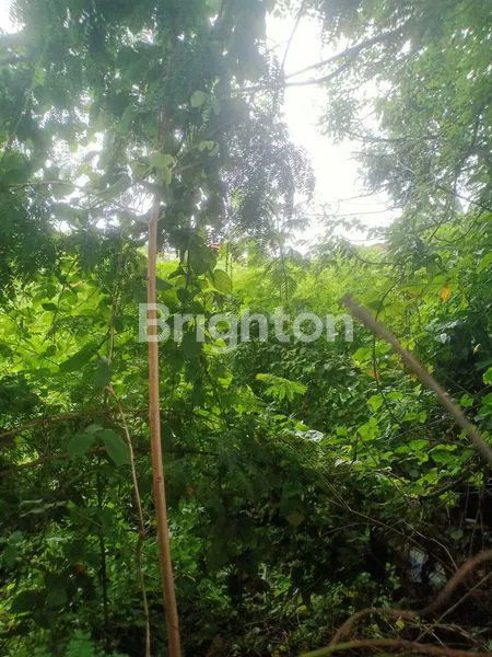 image TANAH LUAS DAN STRATEGIS AREA KUTA (3)
