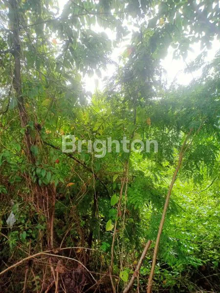 image TANAH LUAS DAN STRATEGIS AREA KUTA (2)