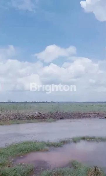 image TANAH DI SUNGAI LUAR, BAKUNG ILIR DAN BAKUNG UDIK, MENGGALA TIMUR DAN GEDUNG MENENG, TULANG BAWANG, LAMPUNG (4)