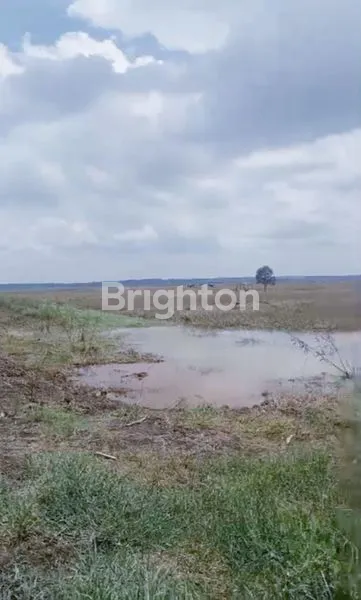 image TANAH DI SUNGAI LUAR, BAKUNG ILIR DAN BAKUNG UDIK, MENGGALA TIMUR DAN GEDUNG MENENG, TULANG BAWANG, LAMPUNG (7)