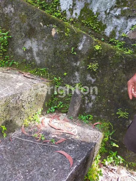 image TANAH PEKARANGAN KEDUNGSARI (2)