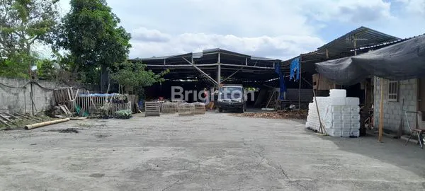 image EKS PABRIK KAYU DI TULUNGAGUNG (3)