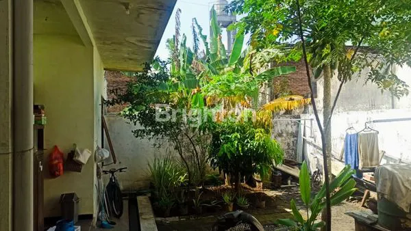 image RUMAH DENGAN TANAH LUAS SUKUN. (4)