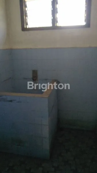 image RUMAH HALAMAN LUAS (5)