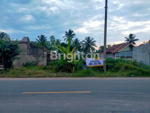 TANAH JALAN LINTAS SUMATRA GUNUNG SUGIH TERBANGGI BESAR LAMPUNG TENGAH