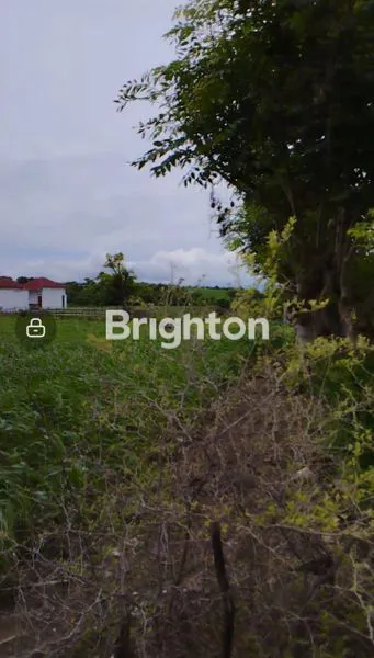 image TANAH PINGGIR JALAN, DEKAT PEMUKIMAN, SUMBAWA (7)