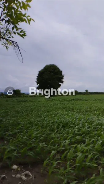 image TANAH PINGGIR JALAN, DEKAT PEMUKIMAN, SUMBAWA (8)