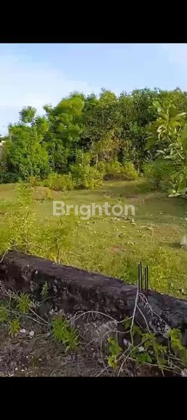 image TANAH RATA VIEW PANTAI BAGUS JIMBARAN (6)