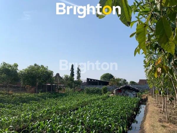 image TANAH PANDAN REJO DAERAH BATU JAWA TIMUR COCOK UNTUK VILLA DEKAT AREA WISATA  (2)