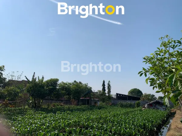 image TANAH PANDAN REJO DAERAH BATU JAWA TIMUR COCOK UNTUK VILLA DEKAT AREA WISATA  (3)