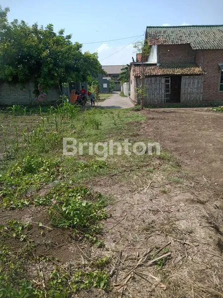 image TANAH SIAP BANGUN DI TULUNGAGUNG (2)
