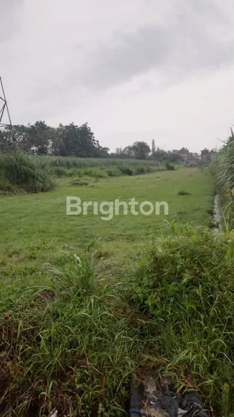 image TANAH 2H DI TENGAH KOTA KEDIRI (2)