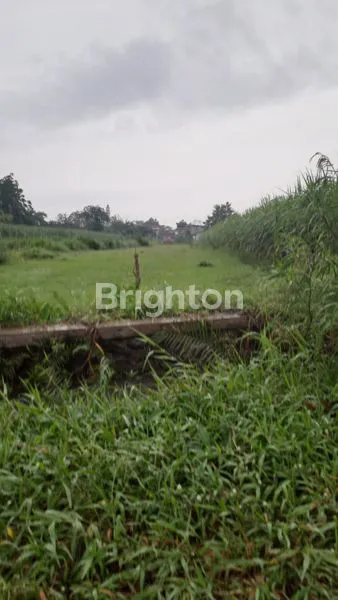 image TANAH 2H DI TENGAH KOTA KEDIRI (3)