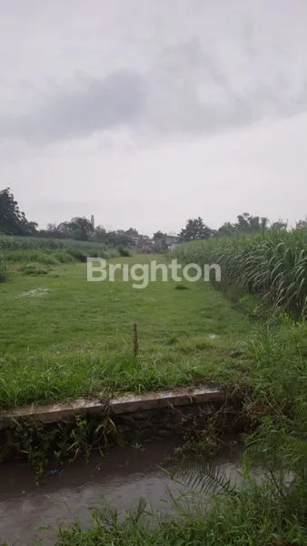 image TANAH 2H DI TENGAH KOTA KEDIRI (4)