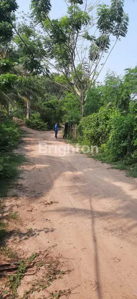 image TANAH KAVLING STRATEGIS AREGULING, 3.873M² IZIN PARIWISATA (5)