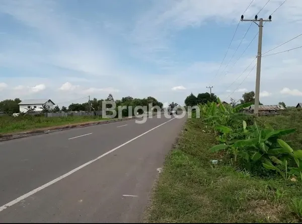 TANAH 2 HEKTAR DI INDRALAYA 300 METER SEBELUM  PINTU TOL PEMULUTAN SUMSEL INDONESIA