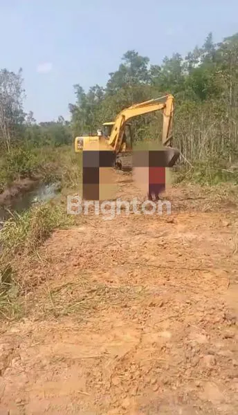 DIJUAL TANAH KOTAWARINGIN KALIMANTAN TENGAH