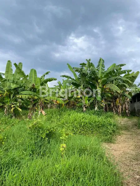 image TANAH EKSKLUSIF DENGAN VIEW SAWAH MENAKJUBKAN DI PETULU, UBUD (1)