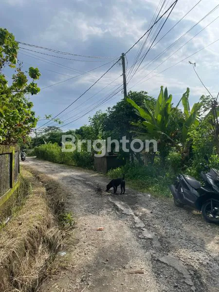 image TANAH EKSKLUSIF DENGAN VIEW SAWAH MENAKJUBKAN DI PETULU, UBUD (2)