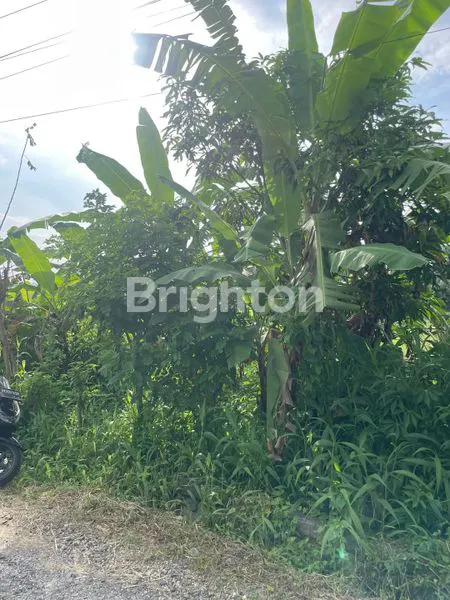 image TANAH EKSKLUSIF DENGAN VIEW SAWAH MENAKJUBKAN DI PETULU, UBUD (3)