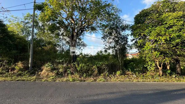 image TANAH DATAR SIAP BANGUN JALAN RAYA DARMAWANGSA (3)