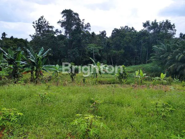 image BALIKPAPAN - DIJUAL TANAH LOKASI STRATEGIS SOEKARNO HATTA KM. 17 (1)