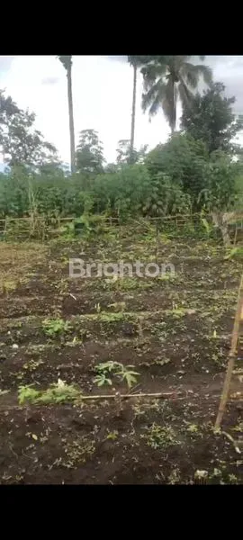 DIJUAL TANAH MURAH 1 KAVLING AREA JERU TUMPANG