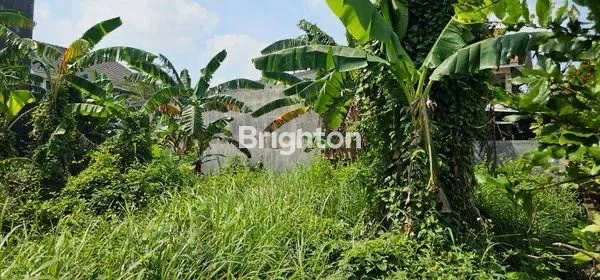 image GAK SAMPAI 1M!!! DAPAT TANAH LOKASI ELITE TAMAN MAJAPAHIT PEDURUNGAN SEMARANG  (3)