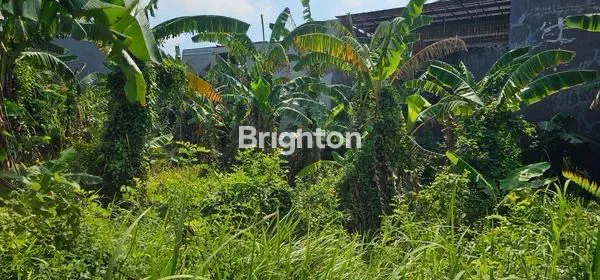 image GAK SAMPAI 1M!!! DAPAT TANAH LOKASI ELITE TAMAN MAJAPAHIT PEDURUNGAN SEMARANG  (7)