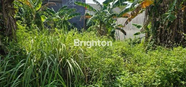 image GAK SAMPAI 1M!!! DAPAT TANAH LOKASI ELITE TAMAN MAJAPAHIT PEDURUNGAN SEMARANG  (8)