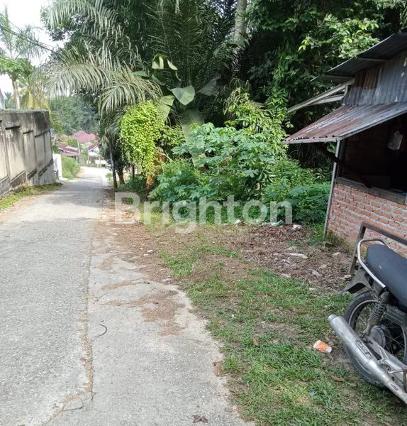 TANAH LUAS UNTUK INVESTASI DI RUMBAI